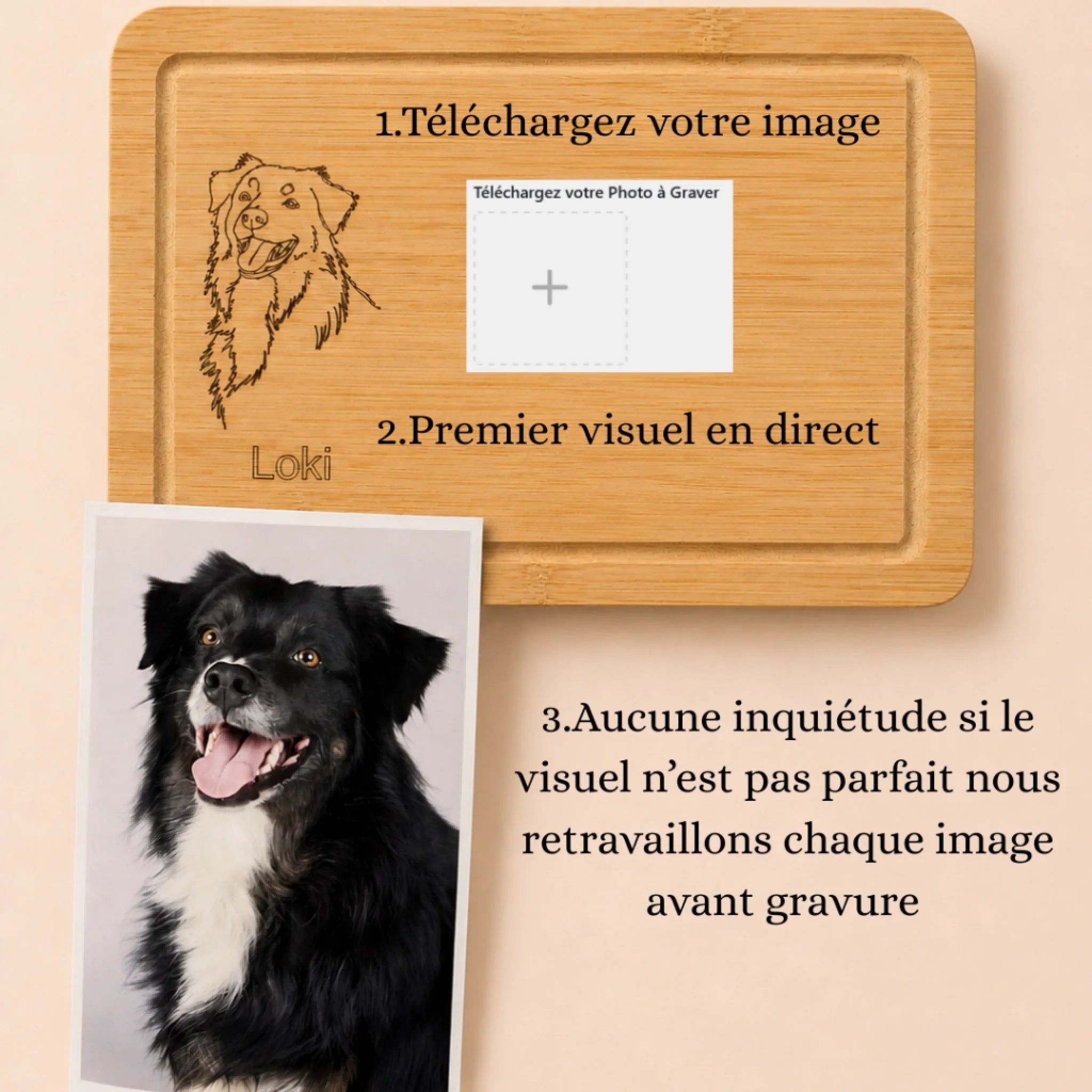 PLANCHE EXPLICATION